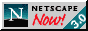 [Netscape Now! Logo]